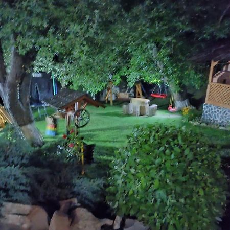 فيلا Casa Dintre Pini Păltinoasa المظهر الخارجي الصورة