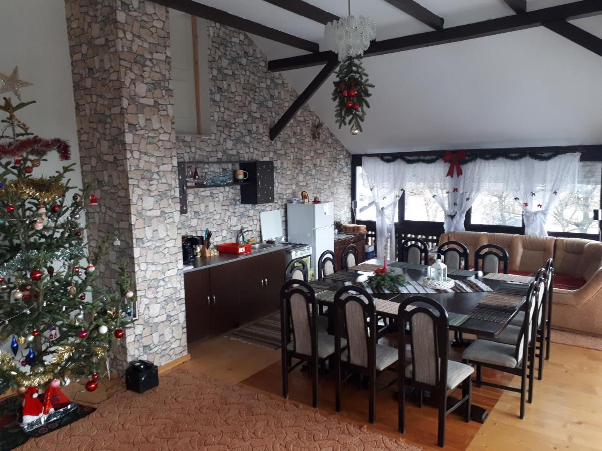 فيلا Casa Dintre Pini Păltinoasa المظهر الخارجي الصورة
