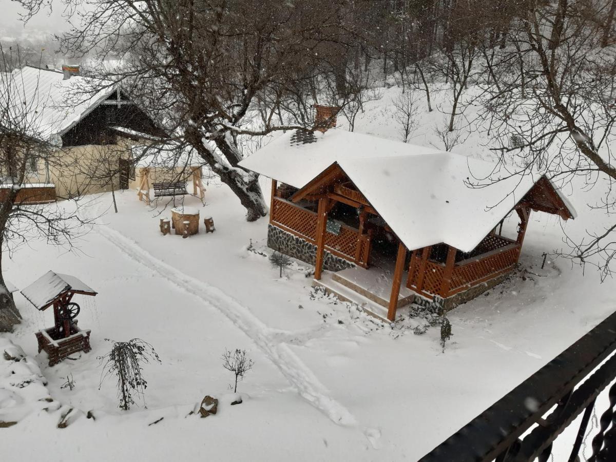 فيلا Casa Dintre Pini Păltinoasa المظهر الخارجي الصورة
