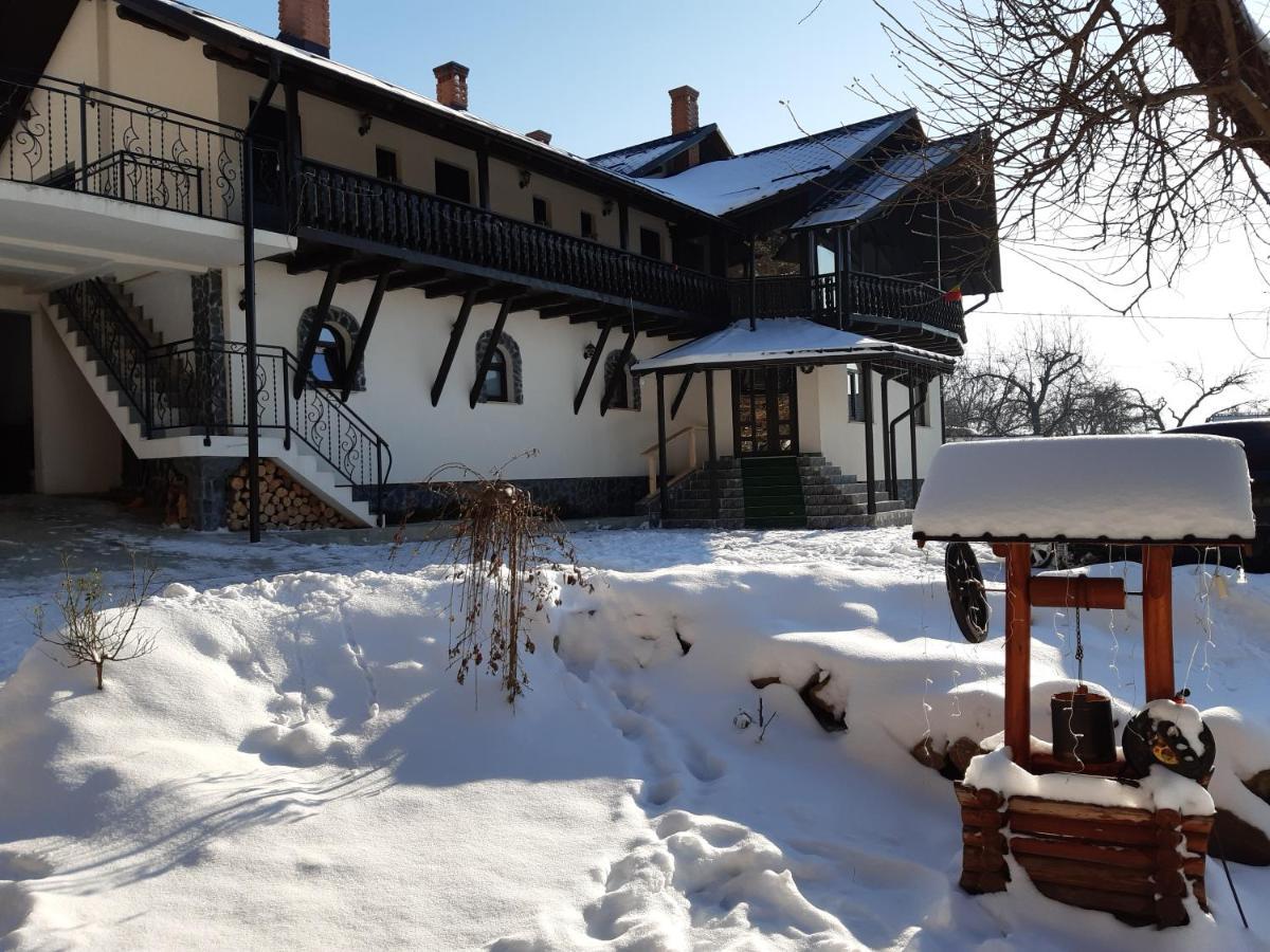 فيلا Casa Dintre Pini Păltinoasa المظهر الخارجي الصورة
