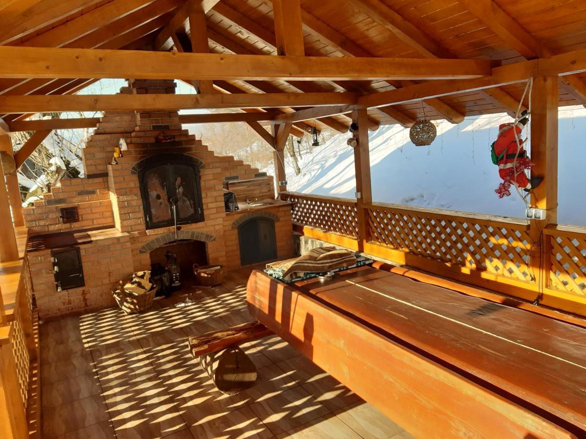 فيلا Casa Dintre Pini Păltinoasa المظهر الخارجي الصورة