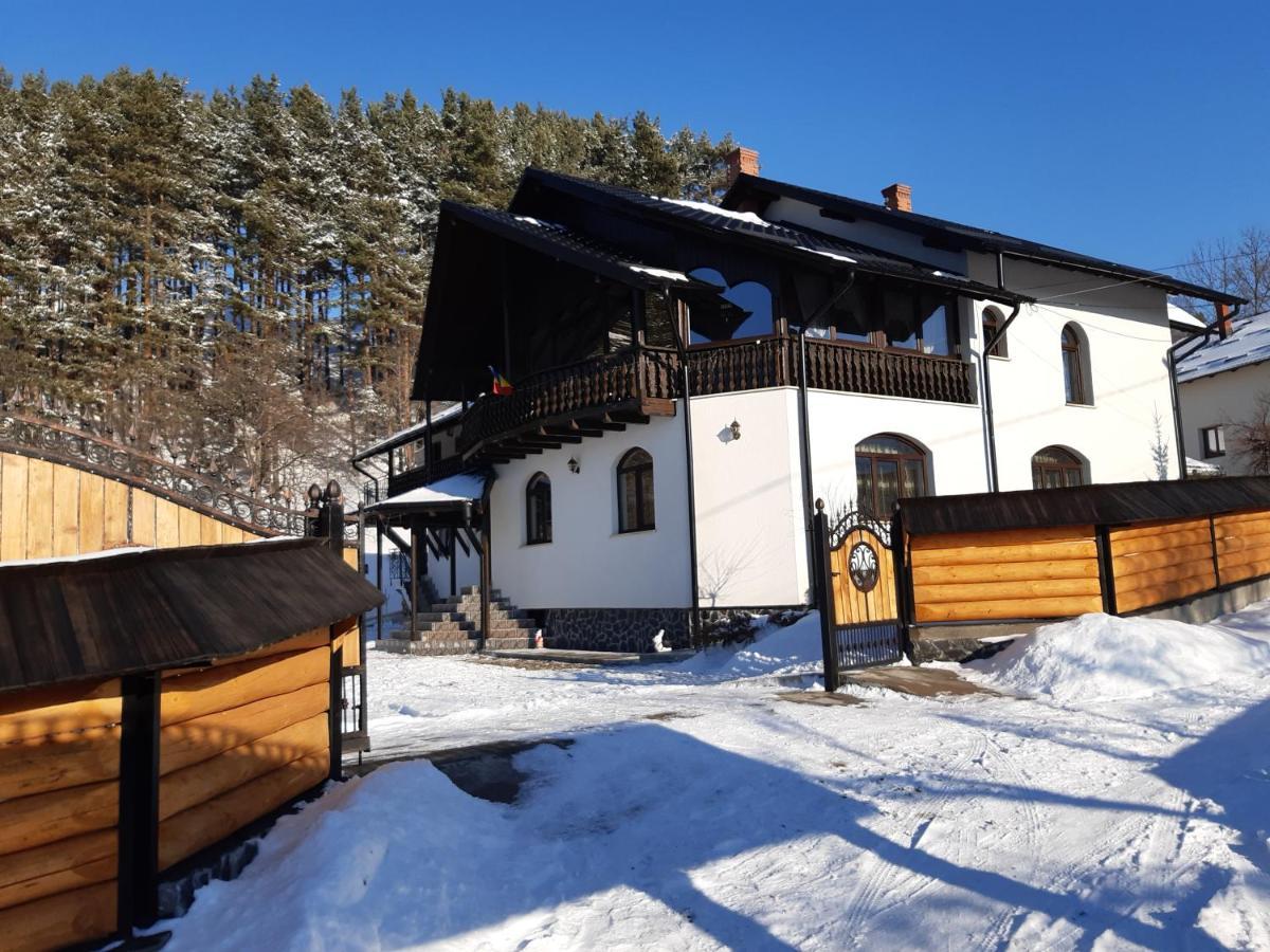 فيلا Casa Dintre Pini Păltinoasa المظهر الخارجي الصورة
