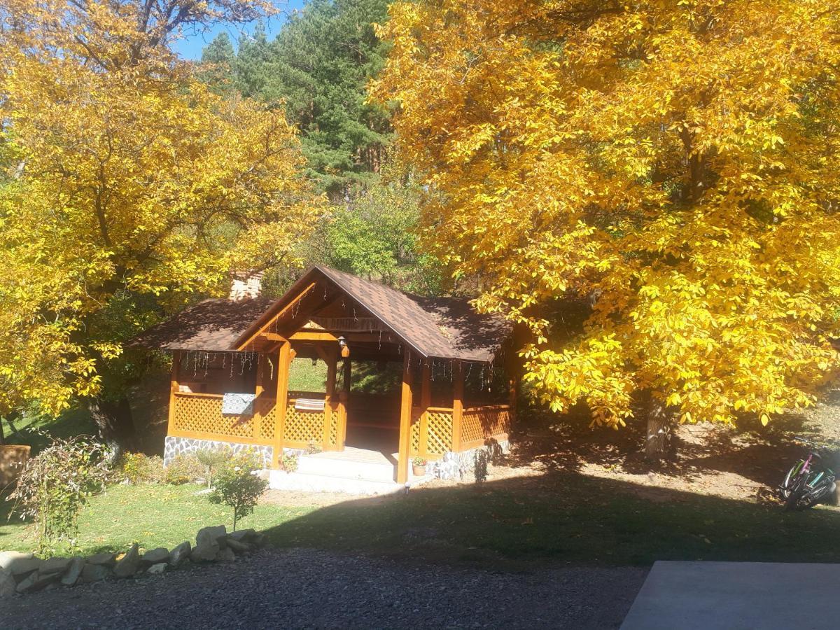 فيلا Casa Dintre Pini Păltinoasa المظهر الخارجي الصورة