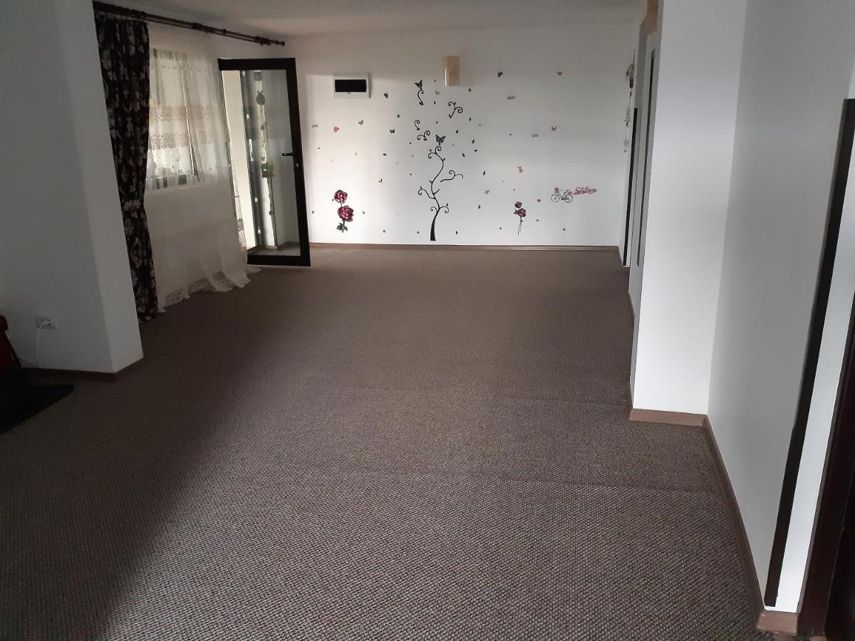 فيلا Casa Dintre Pini Păltinoasa المظهر الخارجي الصورة