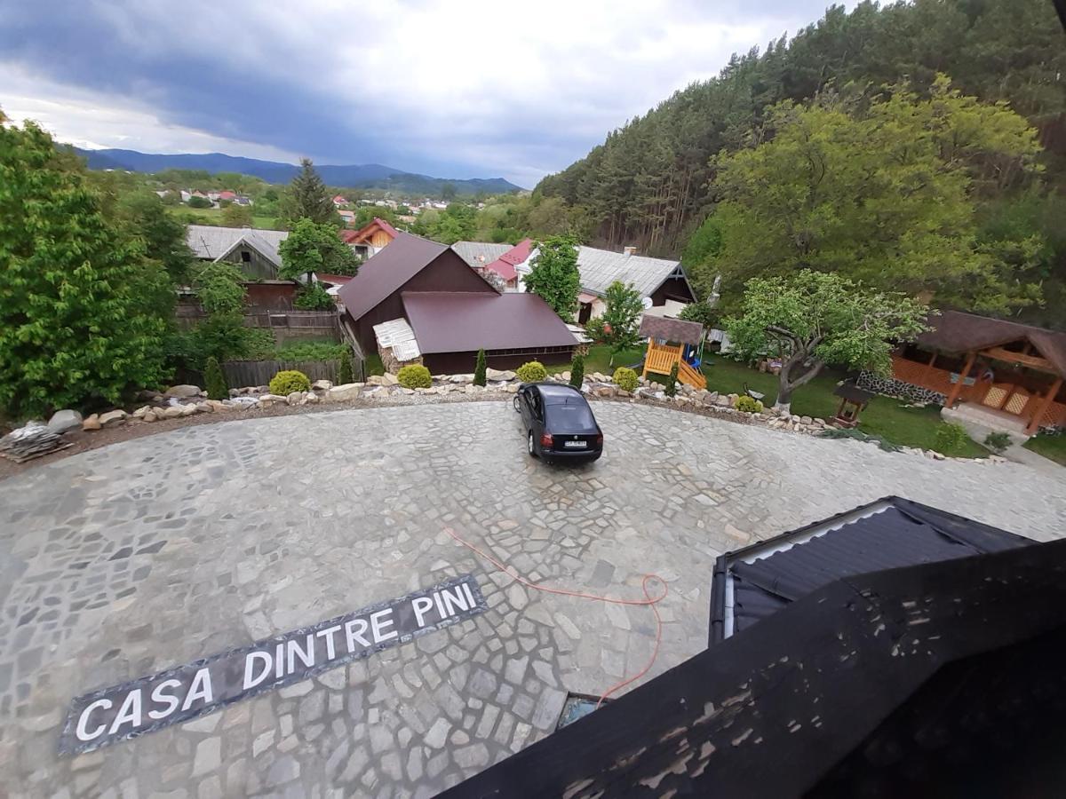 فيلا Casa Dintre Pini Păltinoasa المظهر الخارجي الصورة