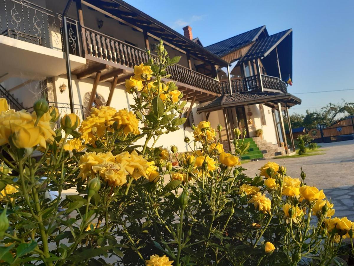 فيلا Casa Dintre Pini Păltinoasa المظهر الخارجي الصورة