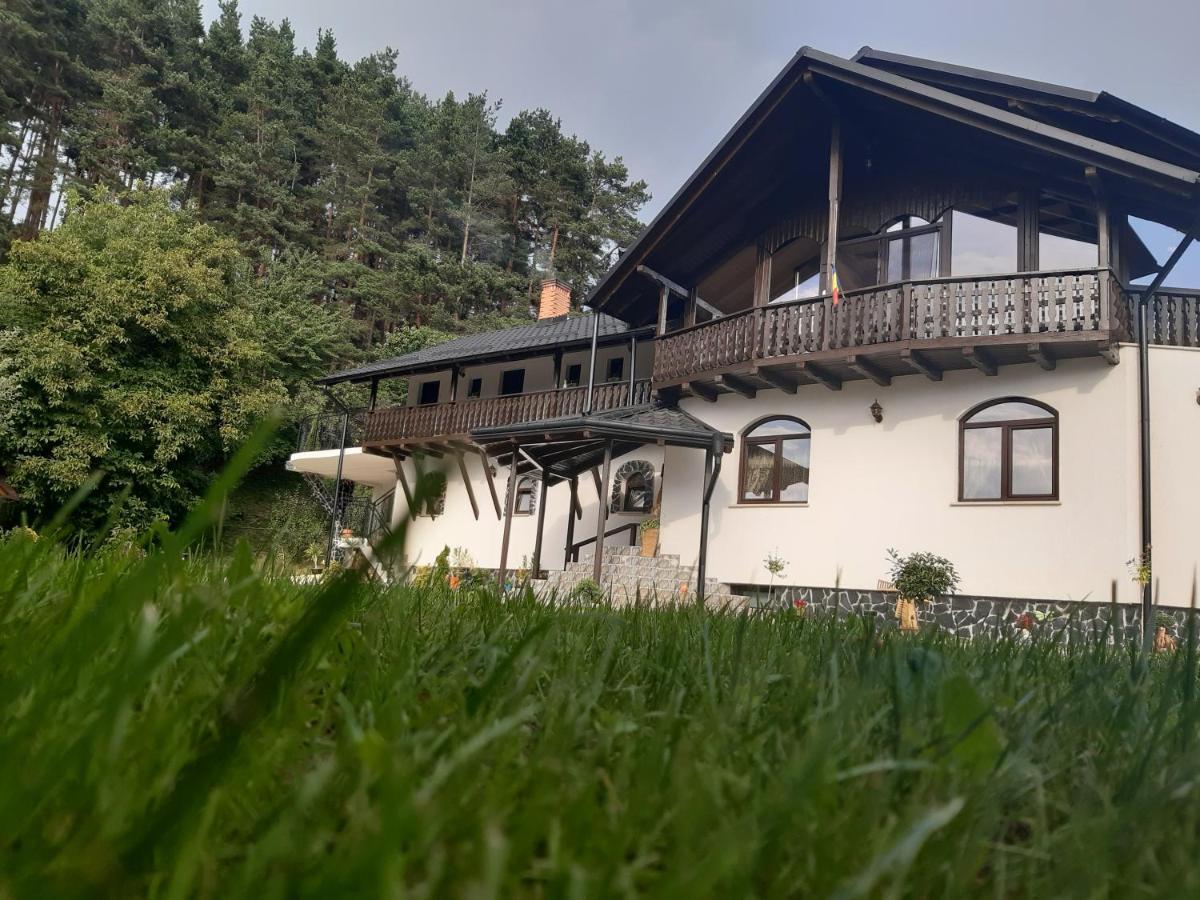 فيلا Casa Dintre Pini Păltinoasa المظهر الخارجي الصورة