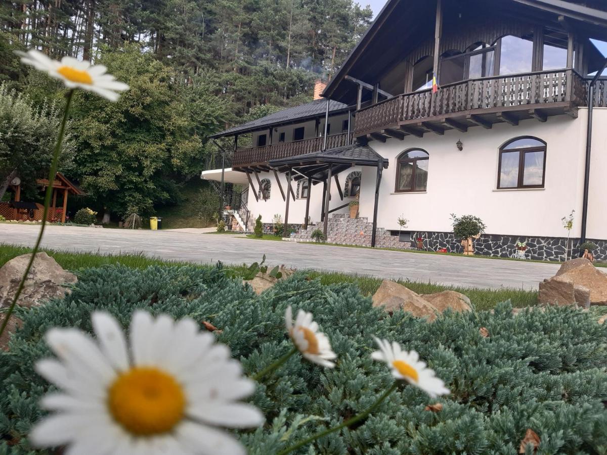 فيلا Casa Dintre Pini Păltinoasa المظهر الخارجي الصورة