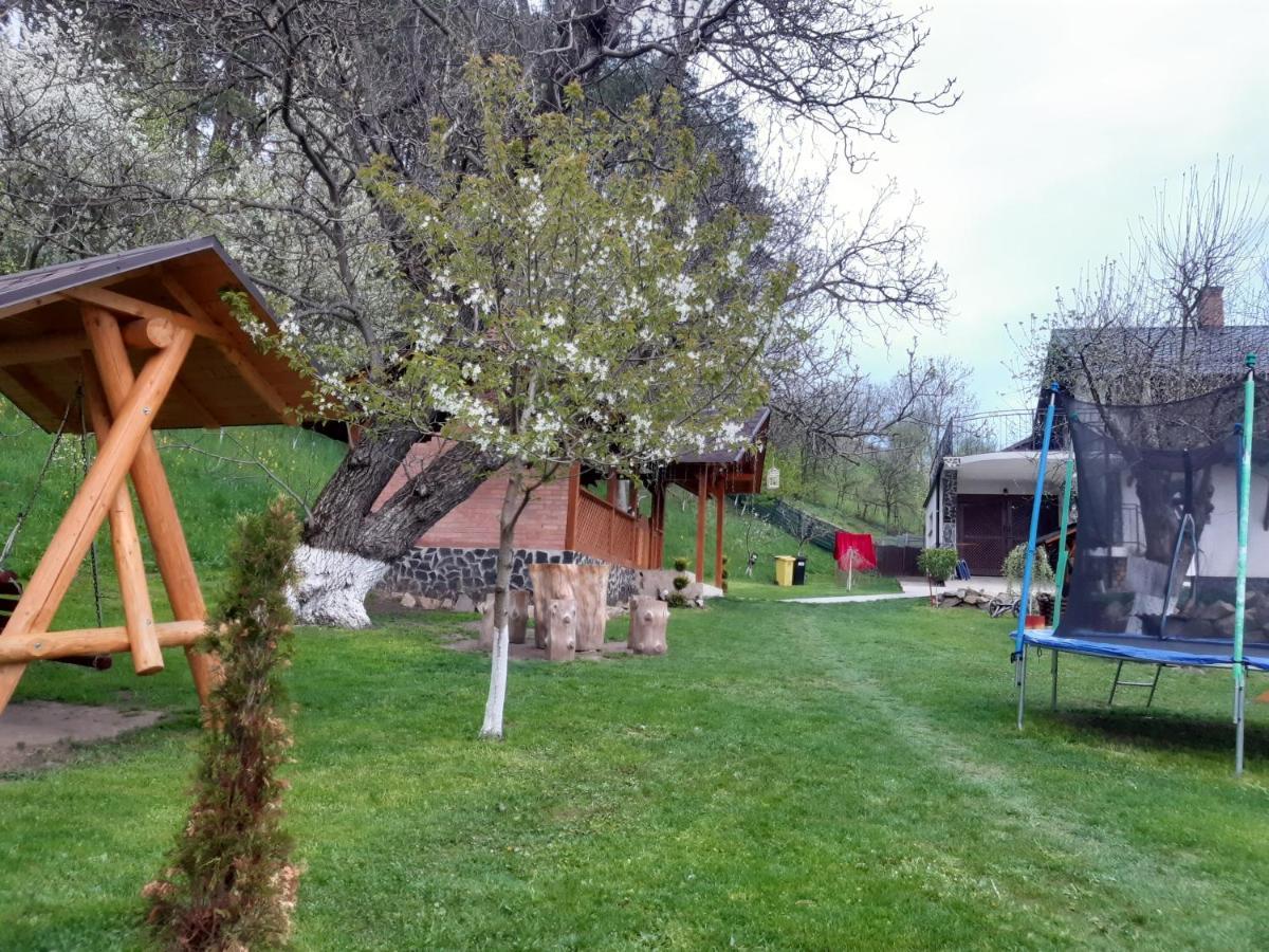 فيلا Casa Dintre Pini Păltinoasa المظهر الخارجي الصورة
