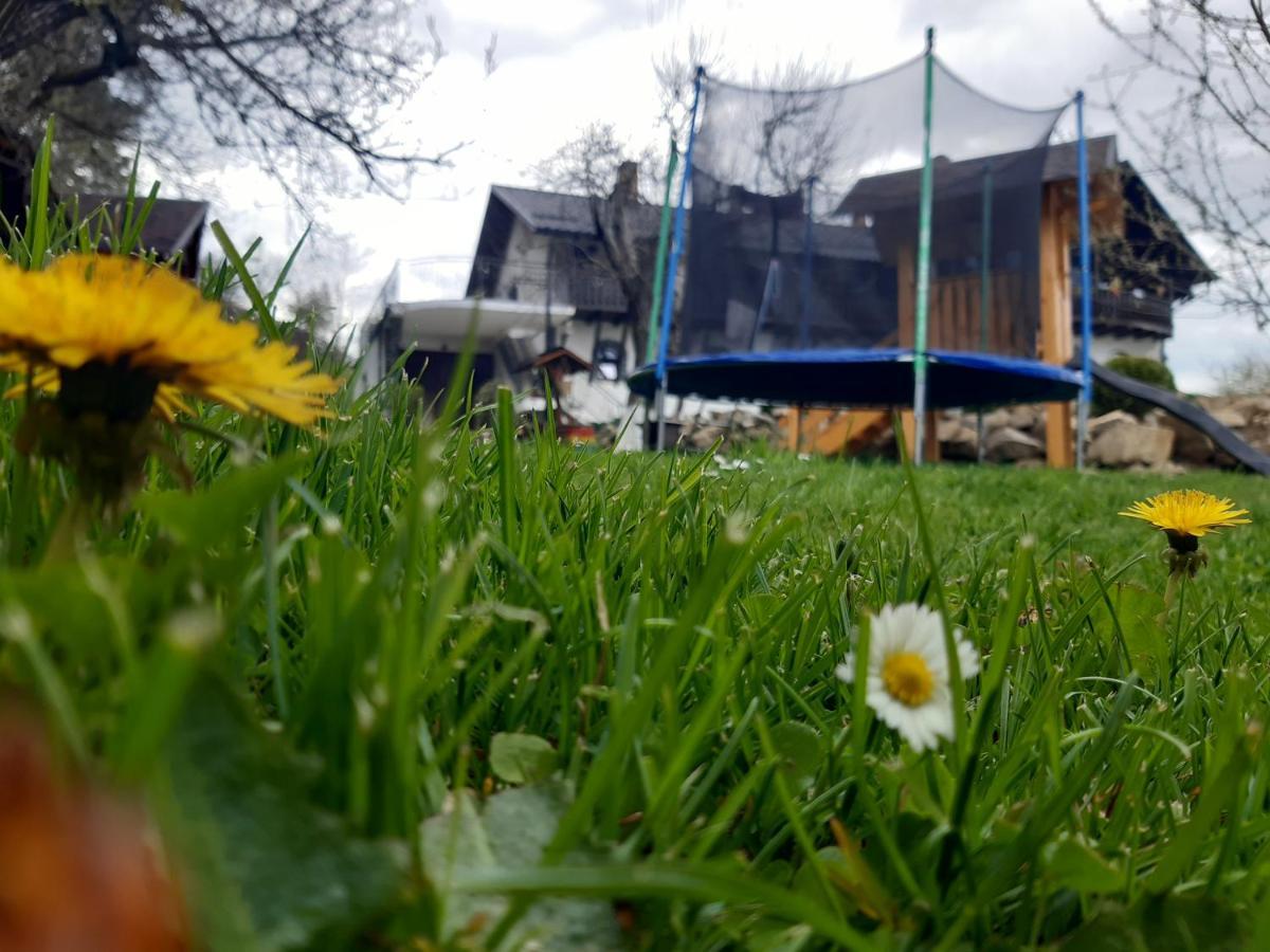فيلا Casa Dintre Pini Păltinoasa المظهر الخارجي الصورة