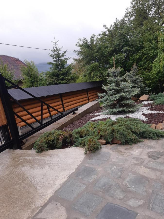 فيلا Casa Dintre Pini Păltinoasa المظهر الخارجي الصورة