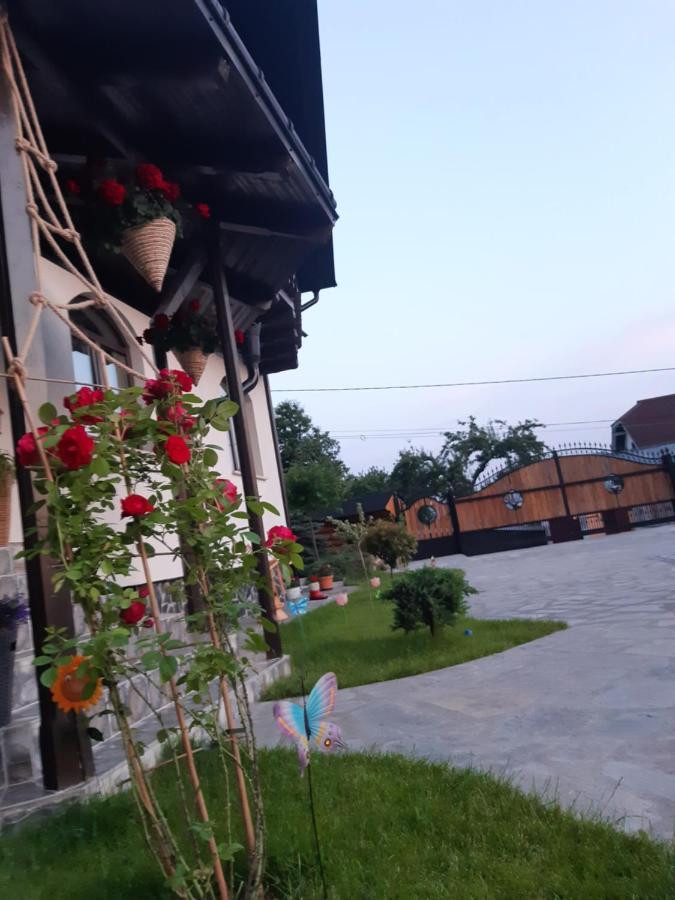 فيلا Casa Dintre Pini Păltinoasa المظهر الخارجي الصورة