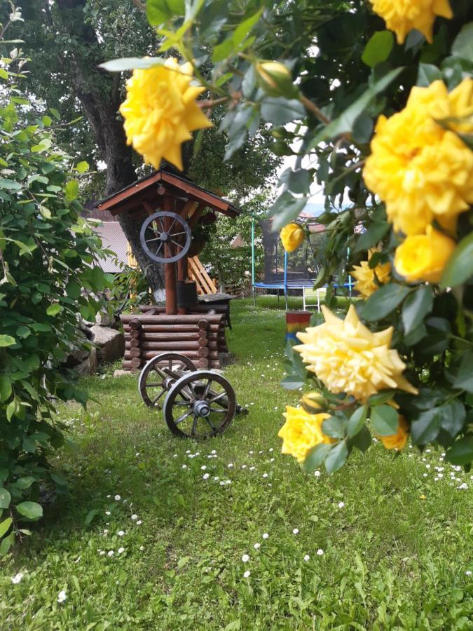 فيلا Casa Dintre Pini Păltinoasa المظهر الخارجي الصورة