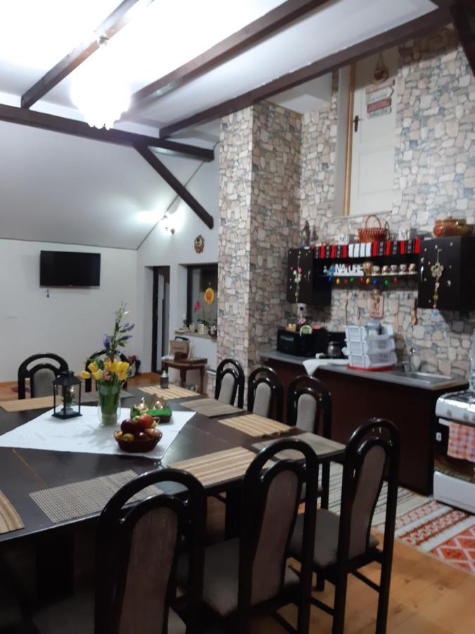 فيلا Casa Dintre Pini Păltinoasa المظهر الخارجي الصورة