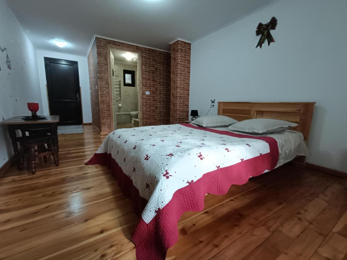 فيلا Casa Dintre Pini Păltinoasa المظهر الخارجي الصورة