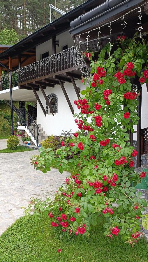 فيلا Casa Dintre Pini Păltinoasa المظهر الخارجي الصورة