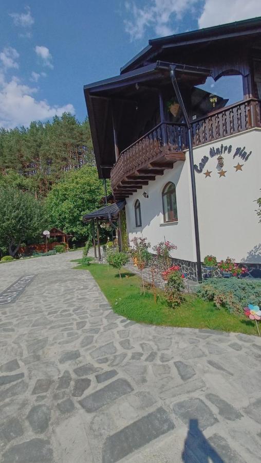 فيلا Casa Dintre Pini Păltinoasa المظهر الخارجي الصورة