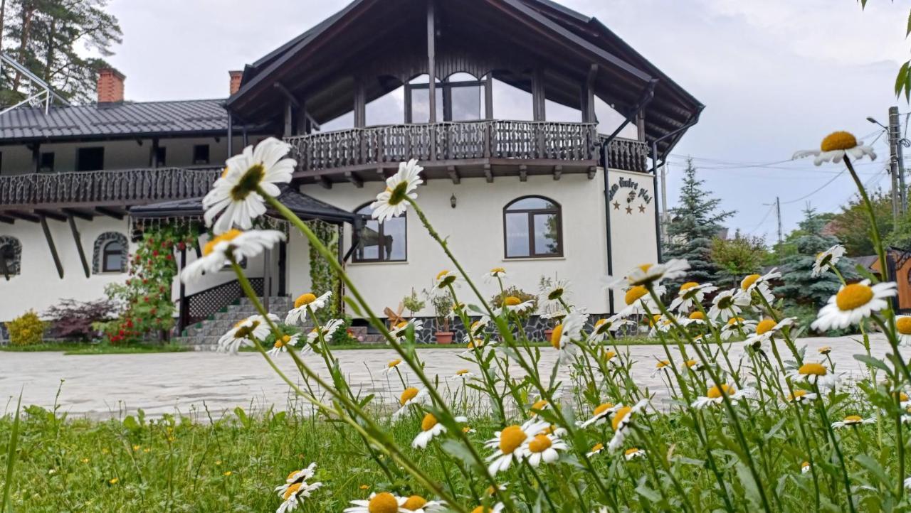 فيلا Casa Dintre Pini Păltinoasa المظهر الخارجي الصورة