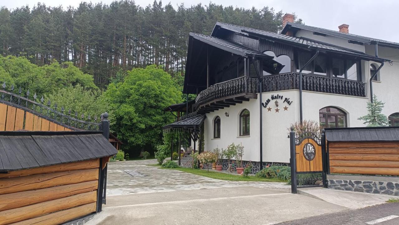 فيلا Casa Dintre Pini Păltinoasa المظهر الخارجي الصورة